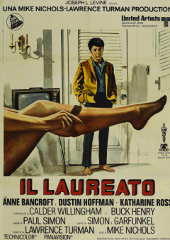 小说区图片区电影区